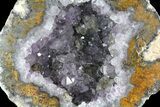 Las Choyas Coconut Geode Half with Calcite & Amethyst - Mexico #180558-1